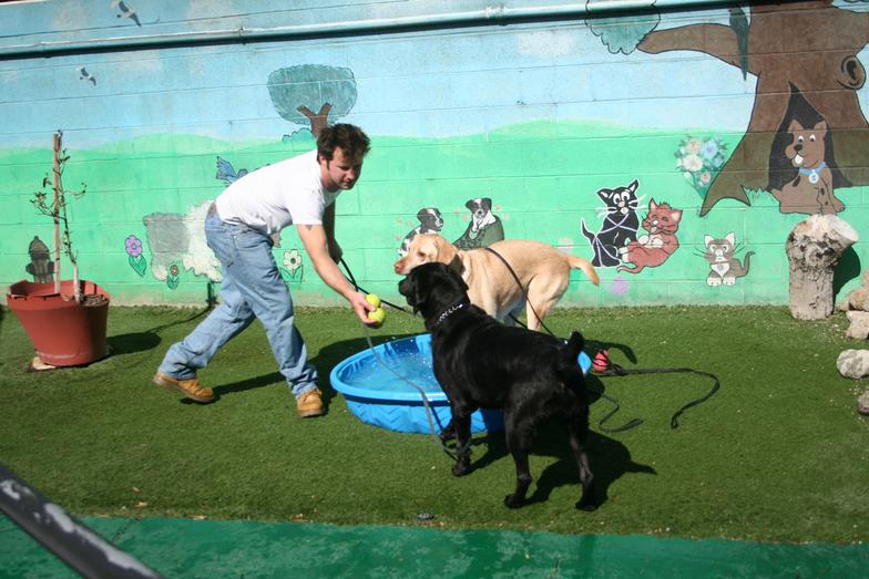 Splish-Splash-Water-Park